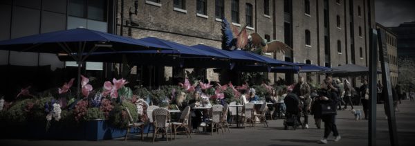 Kings X banner