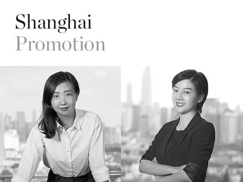 Shanghai promotion Website