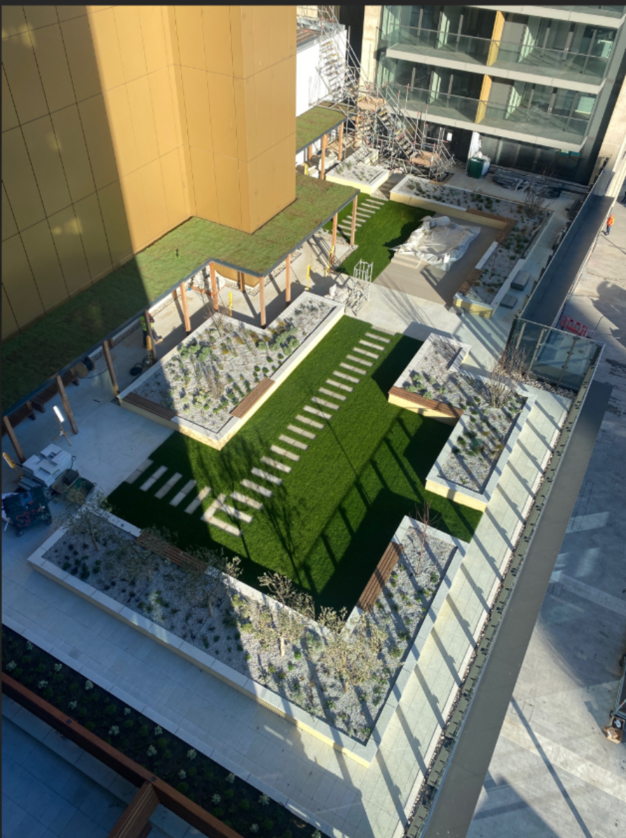 Roof garden Jan 2022