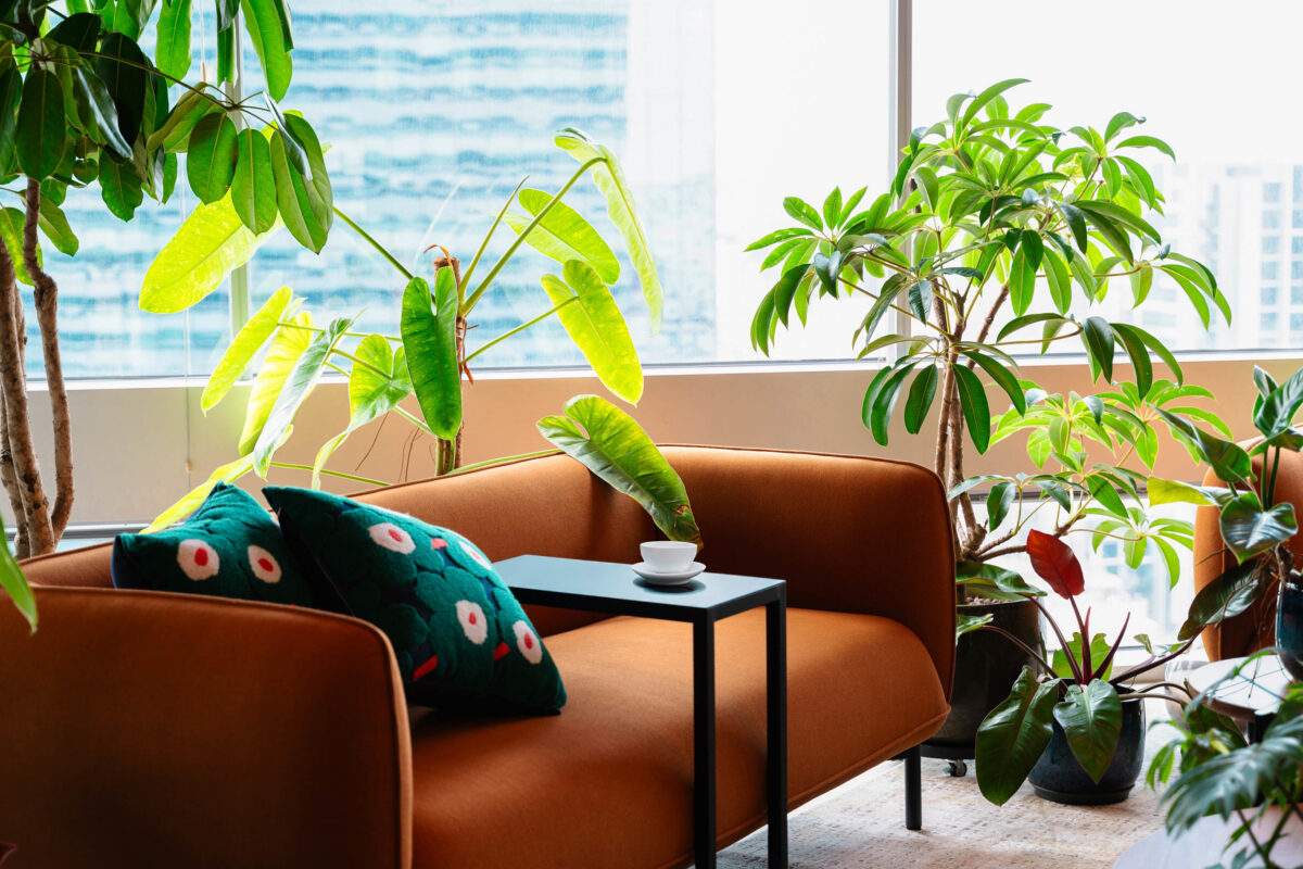 21 01 Gateway West 27 with tea cup