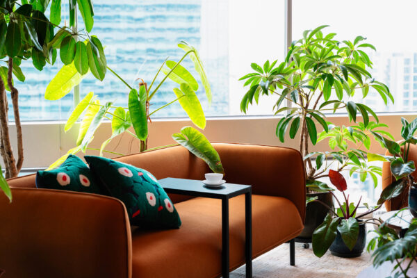 21 01 Gateway West 27 with tea cup