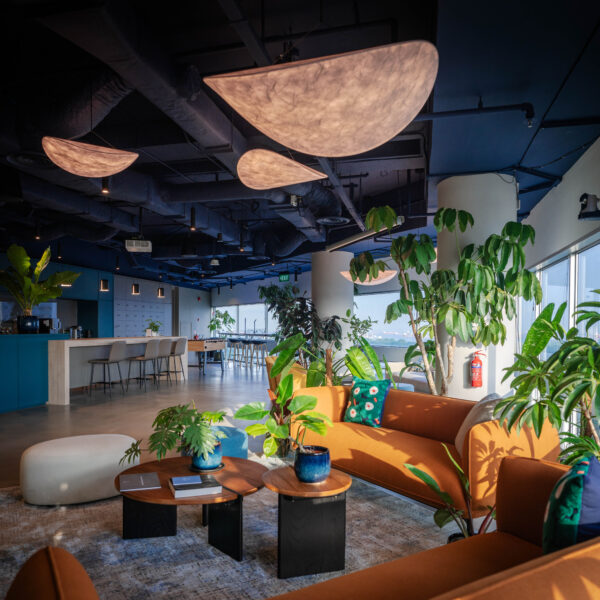 23 Loft