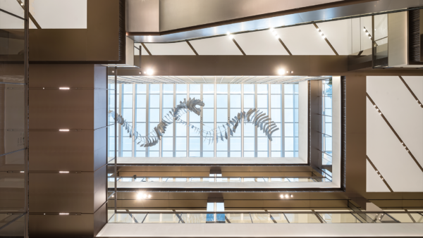 Linked In Image Post 2