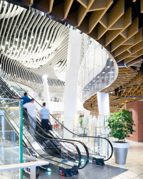 IAPM ICC Jim Stephenson 41 resized